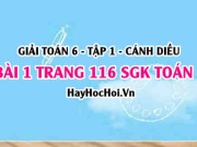 Giải bài 1 trang 116 Toán 6 Tập 1 SGK Cánh Diều